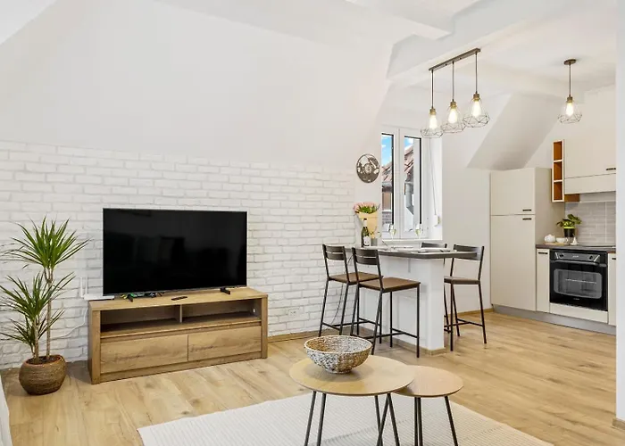 Herman Park View Cozy 2 Appartement *