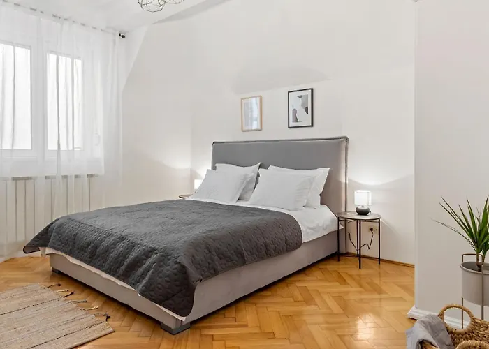 Herman Park View Cozy 2