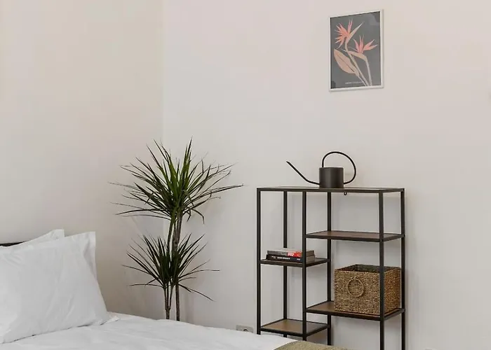 Herman Park View Cozy 2