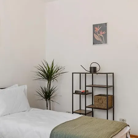 Herman Park View Cozy 2
